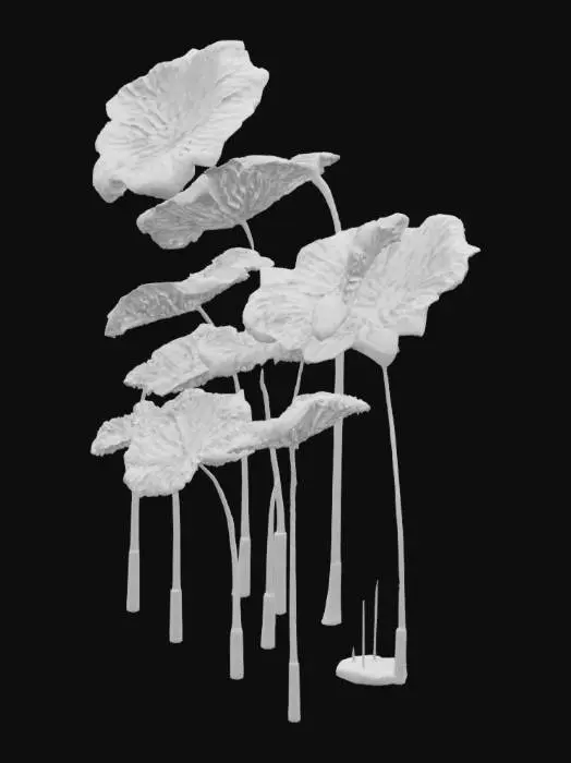 3D model for Lotus Leaves Display
