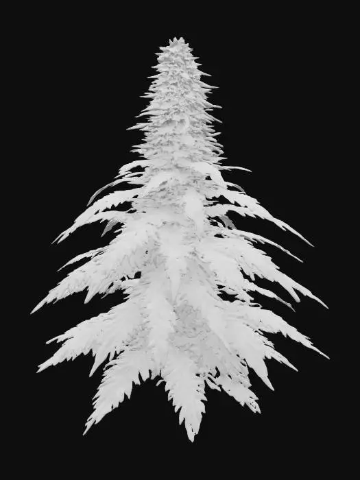 3D model for [Netherlands] Purple Majesty , #AroundTheWorld#