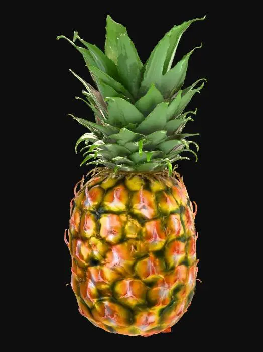 3D model for Pineapple Majesty