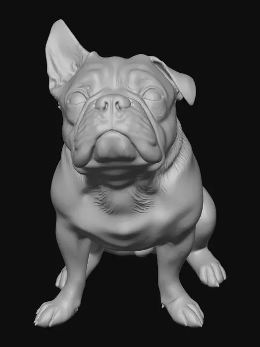 3D model for Curious Paws