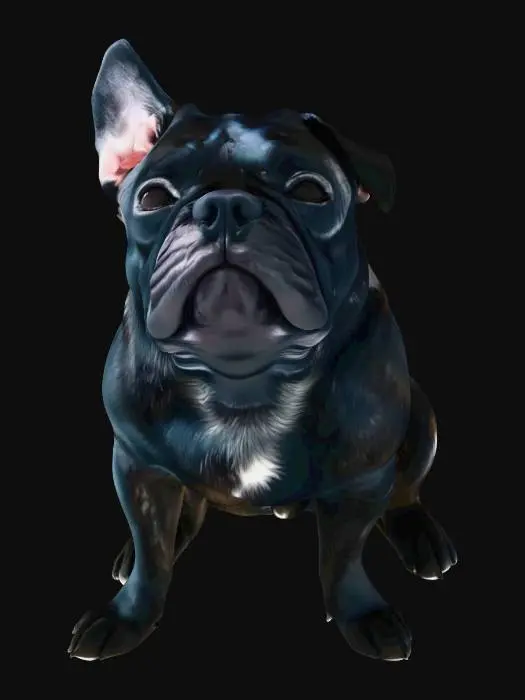 3D model for Curious Paws