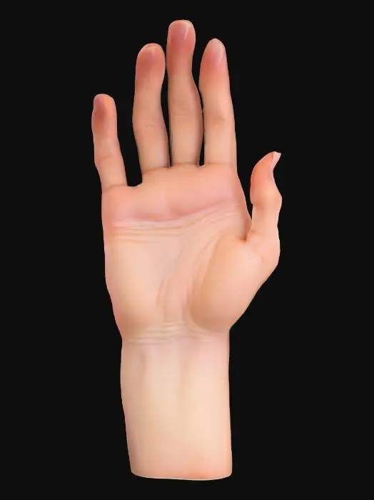 3D model for 一只向上伸展的拟人化手掌，肤色呈健康的肉粉色，表面光滑细腻，带有微弱的光泽感，仿佛沐浴在柔和的光线中。手指修长，指甲呈自然的淡粉色，指关节处有轻微的皮肤褶皱。手掌整体形态优美，触感预计柔软而温暖，体现出逼真的人体结构。