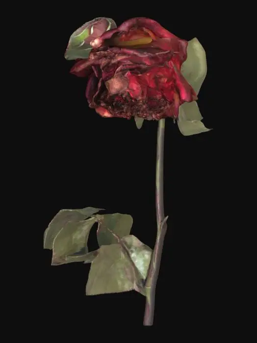 3D model for Withered Elegance