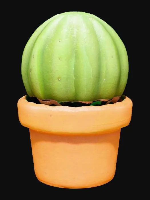 3D model for Cactus