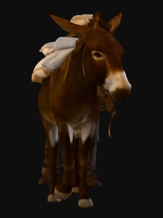 3D model for Farmland Journey