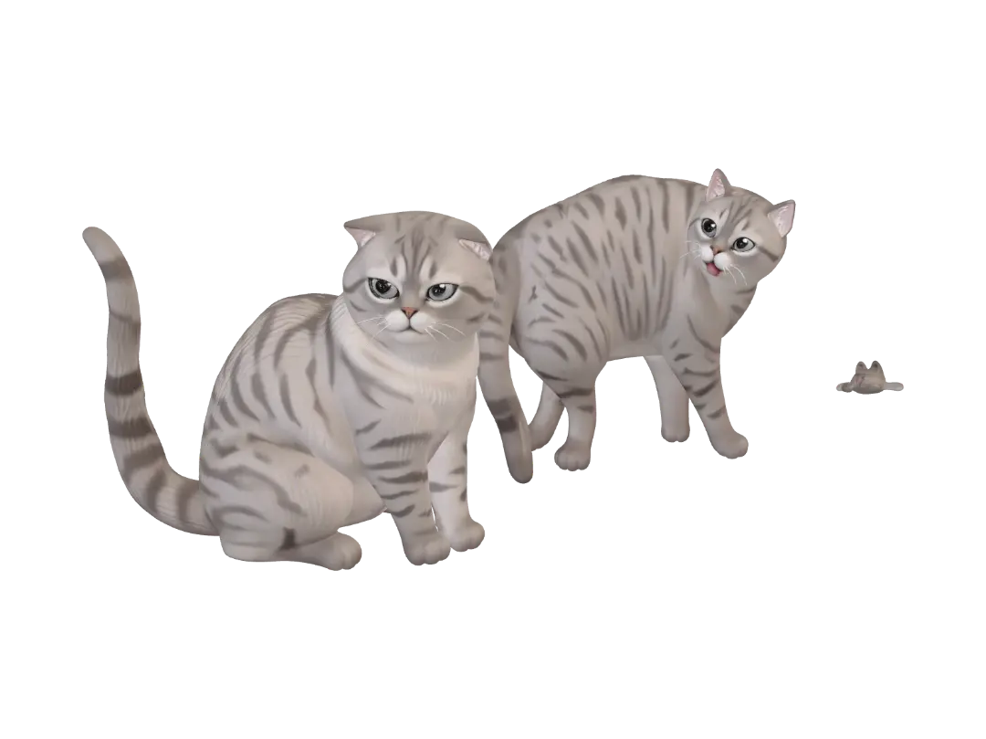 tabby