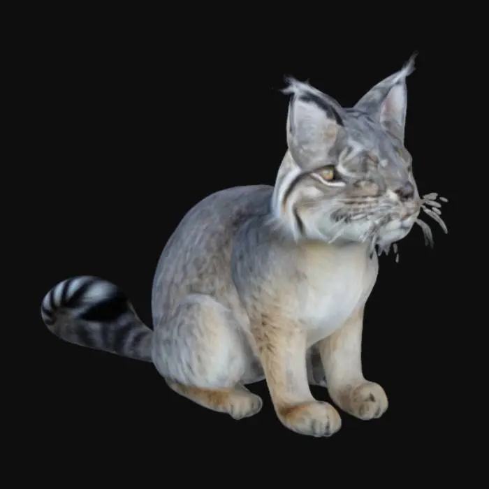 3D model for pallas cat