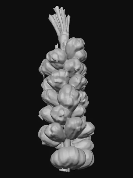 3D model for Garlic Bundle
