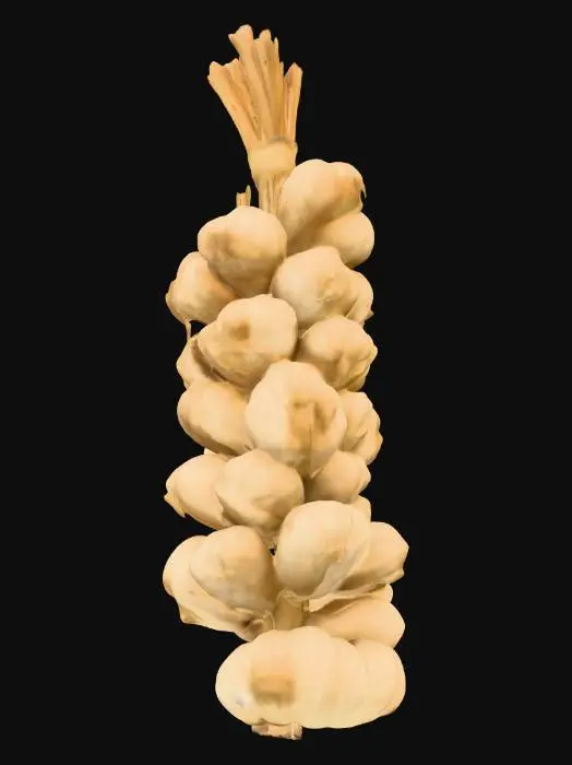 3D model for Garlic Bundle