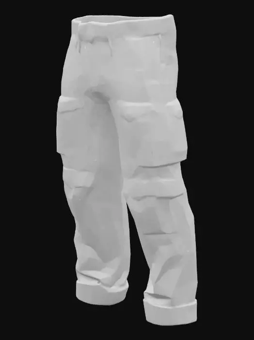 3D model for Cargo Adventure Pants