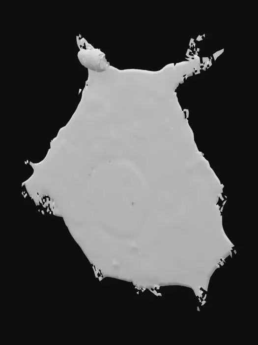 3D model for Liver Cell Diagram