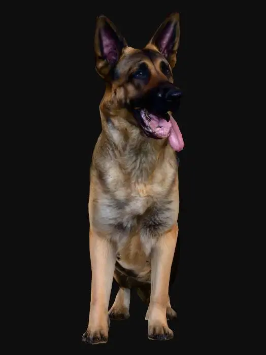 3D model for Joyful Shepherd