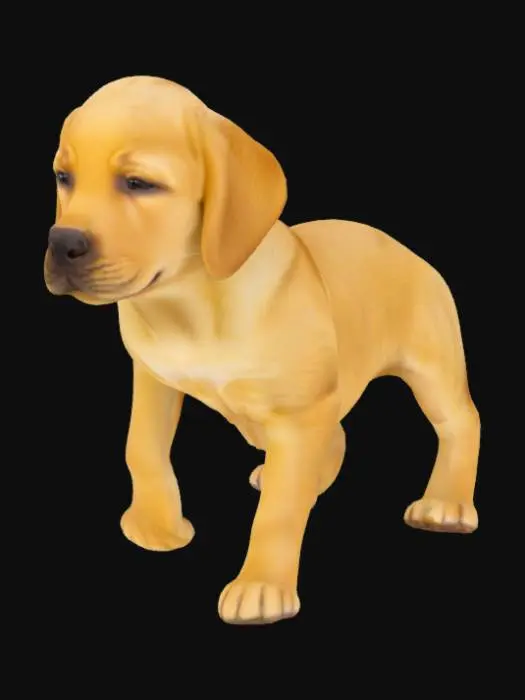 3D model for Golden Labrador Retriever