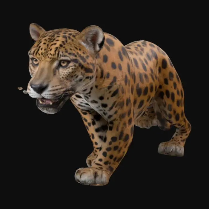 3D model for a jaguar, with a very well-defined face, very marked jaguar spots,