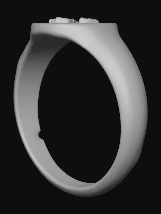 3D model for NyxRing
