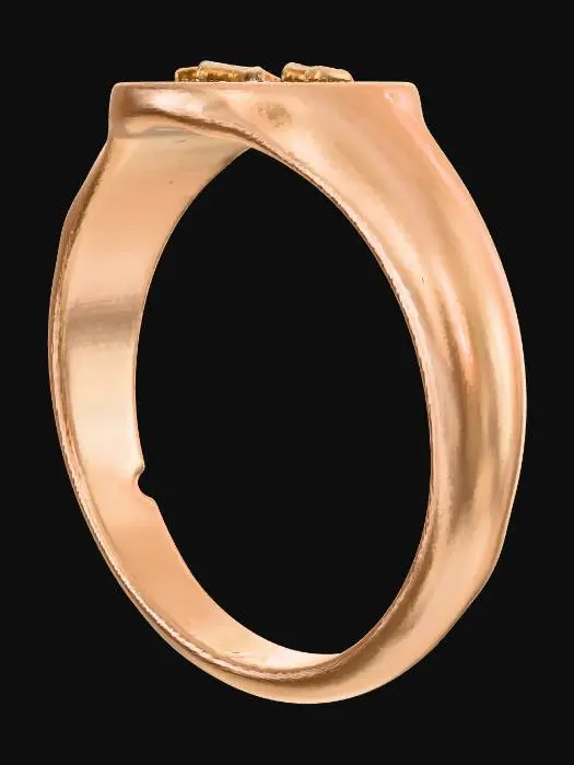 3D model for NyxRing