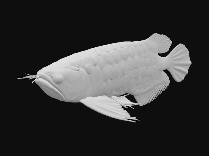 3D model for Arowana Elegance