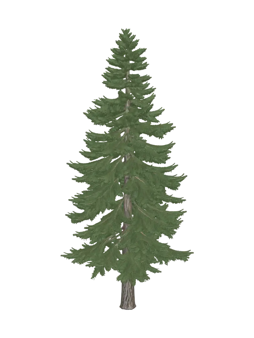 Pine Tree - Bark 3D model, vytvořený pomocí AI