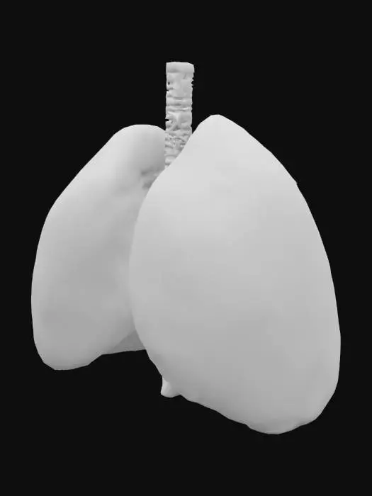 3D model for Diseased Lungs Visualization