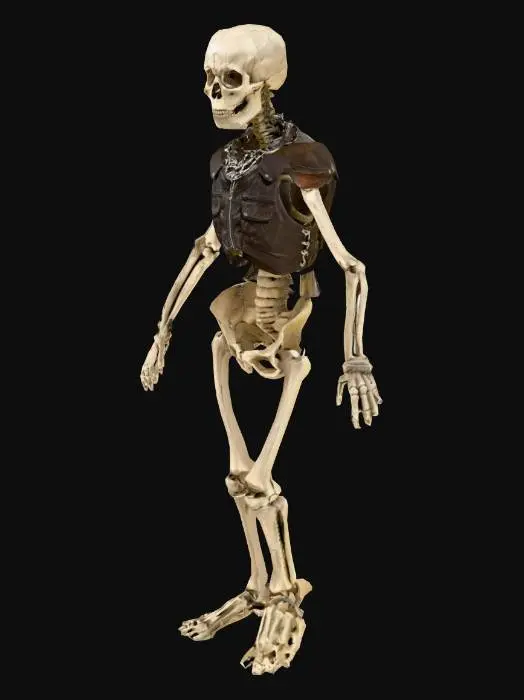 3D model for Skeleton Sentinel
