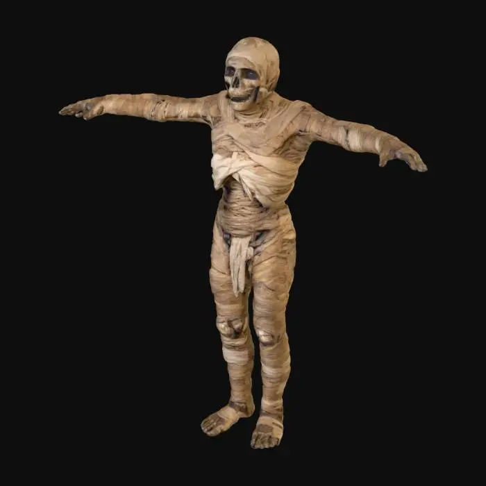 3D model for Mummified Resurgence