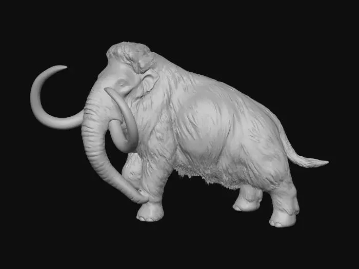 3D model for Woolly Mammoth