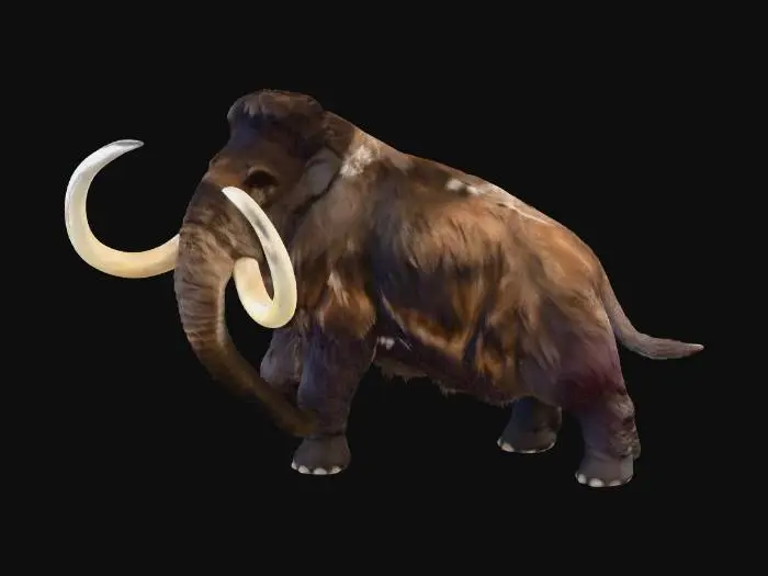 3D model for Woolly Mammoth