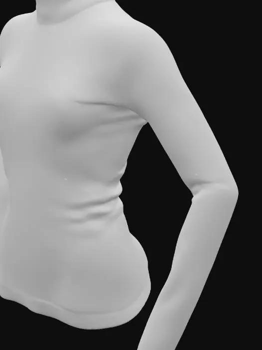 3D model for black long sleeve turtle neck 