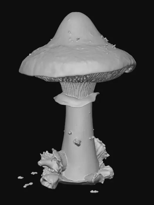 3D model for Super realistic mushroom with intricate gills underneath a conical cap, white and red are the main colors, some signs of decay and dirt on the mushroom