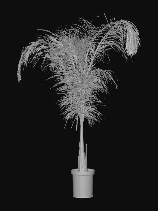 3D model for highly realistic  Palm tree intricate and accurate fronds and leaves detail on stem and trunk