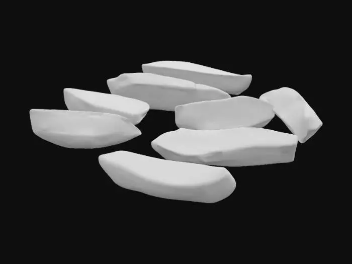 3D model for Mango slices