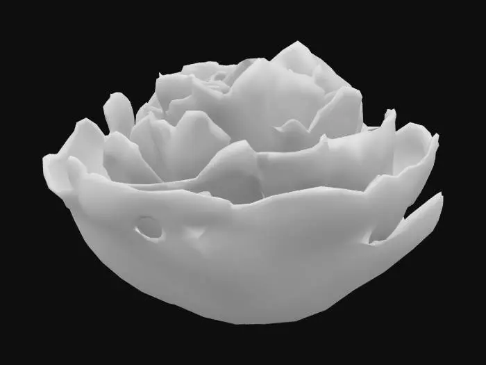 3D model for Can you create a Polygon Style Lettuce