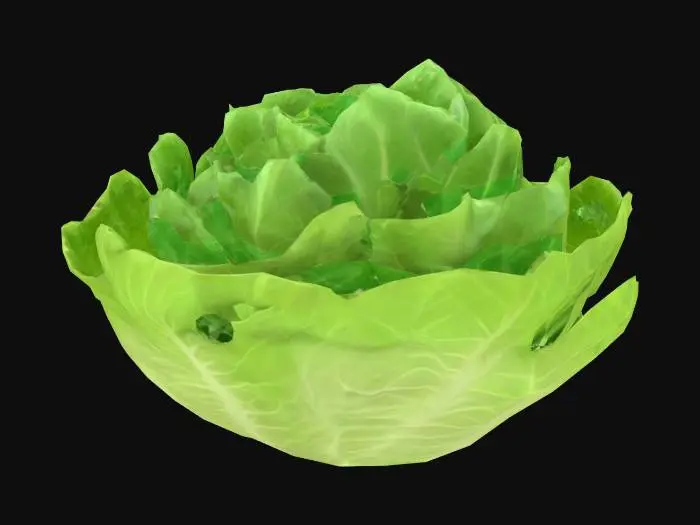 3D model for Can you create a Polygon Style Lettuce