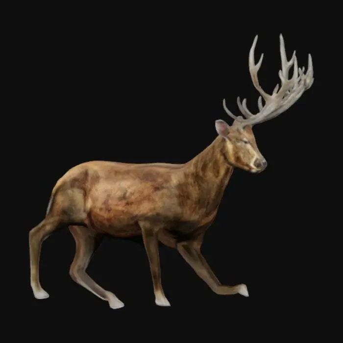 3D model for Majestic dear 