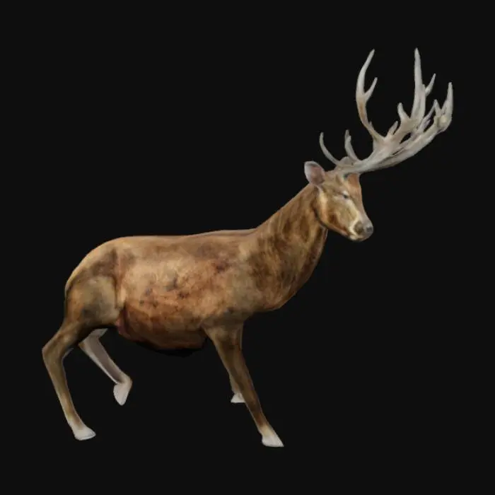3D model for Majestic dear 