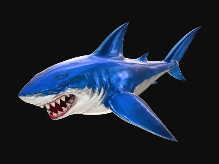 3D model for Mako Hai