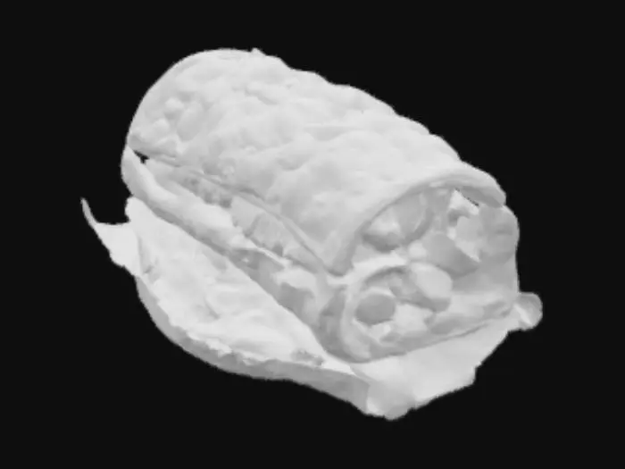 3D model for Ultra-realistic, oversized XL rollo-kebab, measuring an impressive 60 cm in length rollo and about 10 cm thick, designed with rich, detailed textures for 3D rendering. The golden-baked flatbread is slightly charred with crisped edges, tightly wrapped in a rustic napkin for grip. From the open top, tender, juicy slices of grilled kebab meat burst out, glistening with savory juices. Colorful layers of fresh, shredded vegetables—cabbage, lettuce, tomatoes, onions—add vibrant contrast, topped with a generous drizzle of spicy red chili sauce that oozes down the sides. The rollo kebab is packed and dense, yet still slightly soft to the touch,evoking street food realism. Perfectly suited for ultra-detailed food visualizations or high-end animation renders.