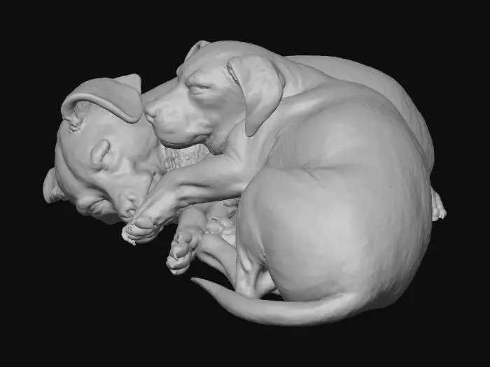3D model for Puppy Embrace
