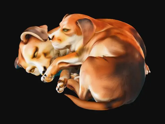 3D model for Puppy Embrace