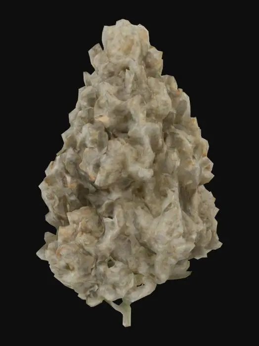 3D model for Frosted Jewel