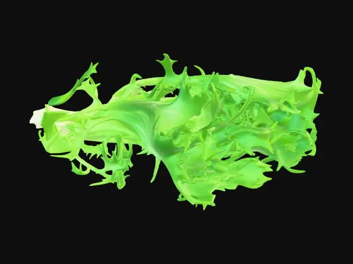 3D model for 치커리