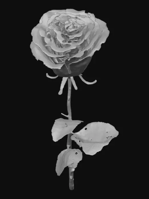 3D model for rose with thorns and long stem