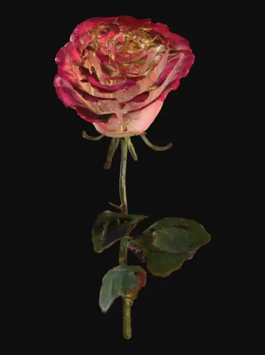 3D model for rose with thorns and long stem