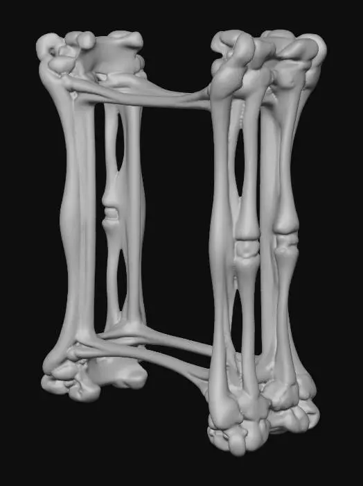 3D model for bone picture frame with no back