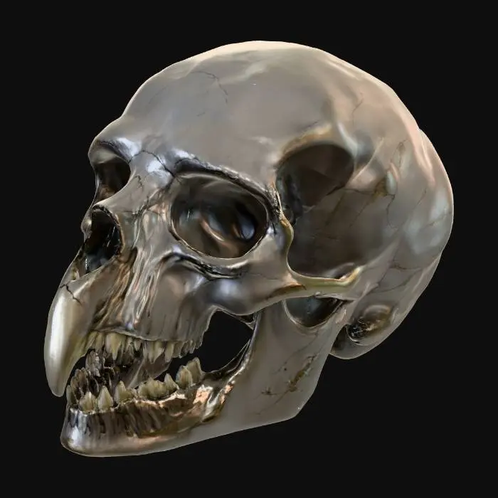 3D model for raven skull with teeth