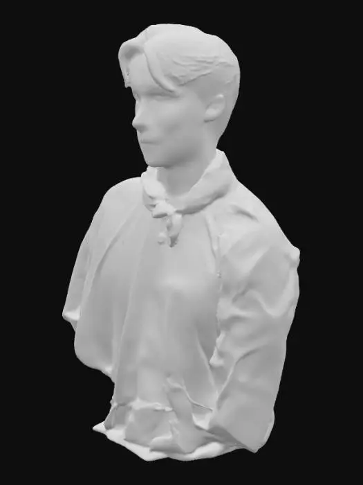 3D model for nonpro