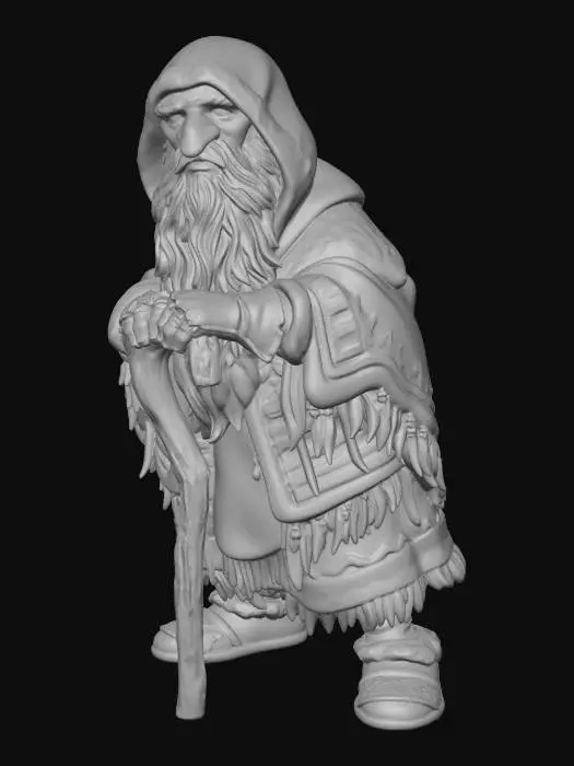 3D model for The Wise Wanderer