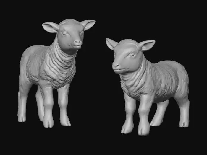 3D model for Lamb Duo
