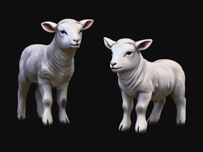 3D model for Lamb Duo
