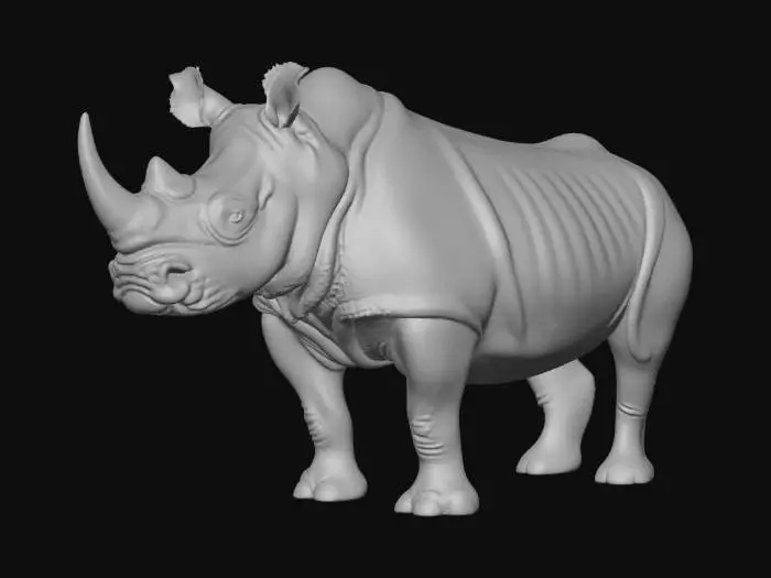 3D model for Rhino Stance